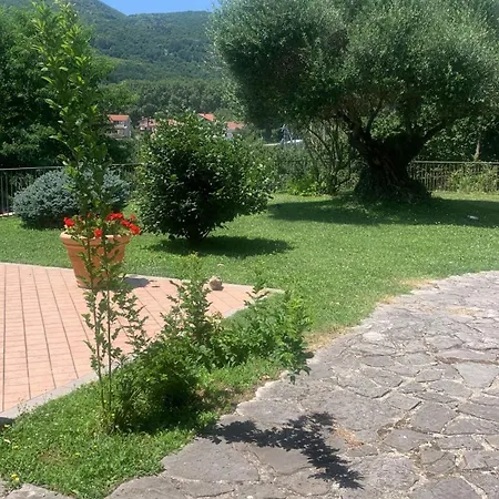 Country House-3