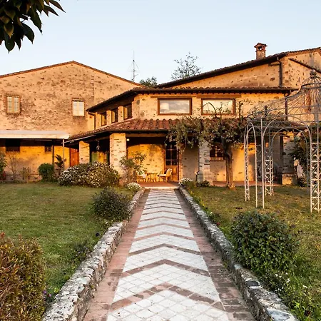Bernardone-2