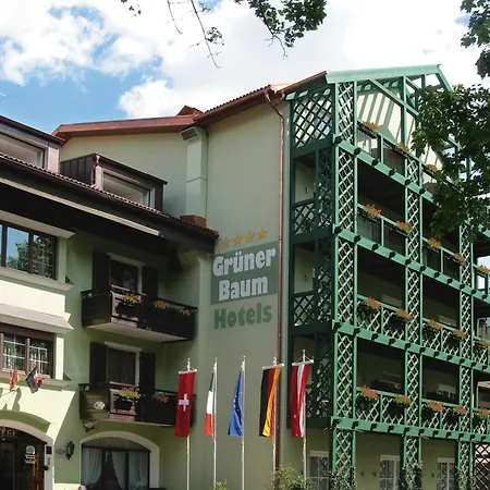 Hotel Gruener Baum-2