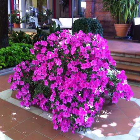 Hotel Reale-2
