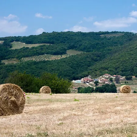 Fonte Alla Lepre-2
