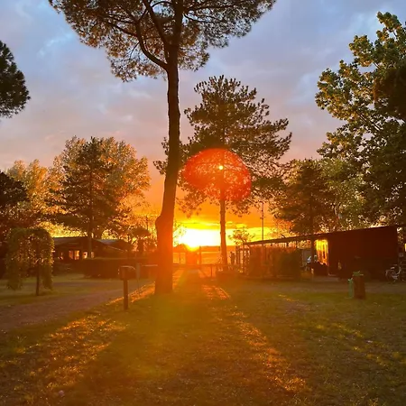Camping Amalasunta-2