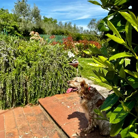 Il Villino del Daino - Toscana-2