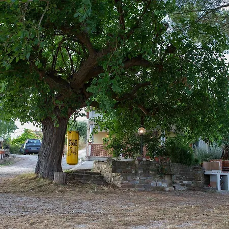 Casa Vacanze Diamante-2