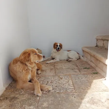 Masseria San Martino-3
