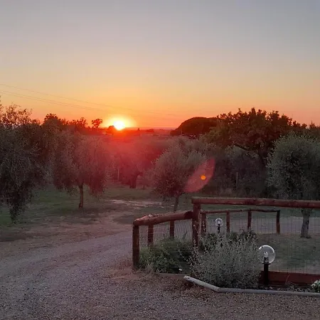 Agriturismo IL VECCHIO OLIVO-3