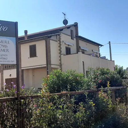 Agriturismo IL VECCHIO OLIVO-2