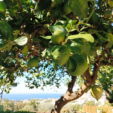 La Pigna Sorrento-2