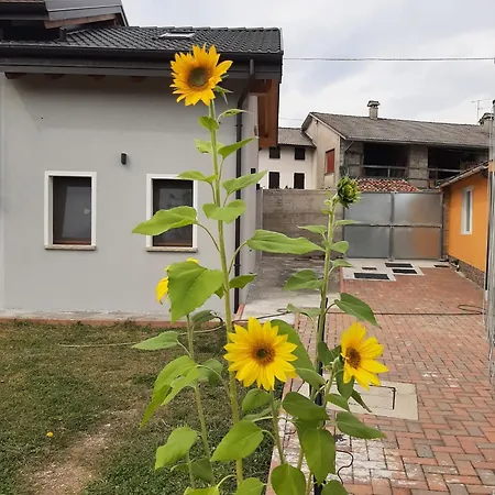 Casa Agribon-2