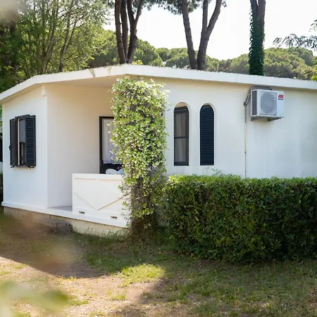 Club del Sole Spina Family Collection-2