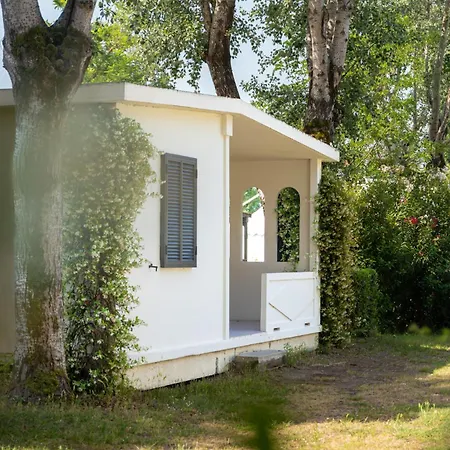 Club del Sole Spina Family Collection-3