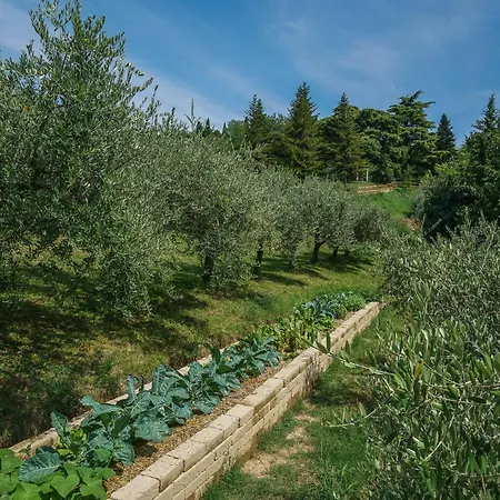 Cà Toresele Relais Osteria Garden-3