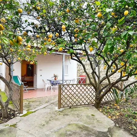 Residence Limoneto Ischia-3