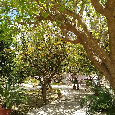 Residence Limoneto Ischia-2