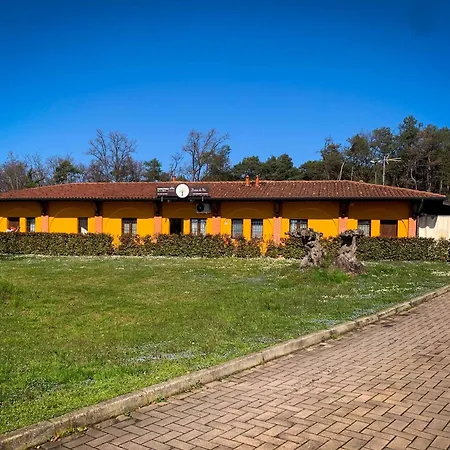 Gelso Bianco Cogliate-3