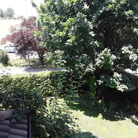 B&B La Rosa Gialla-2