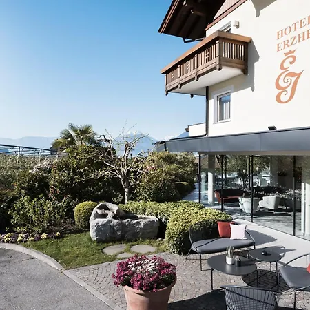 Hotel Erzherzog Johann-3