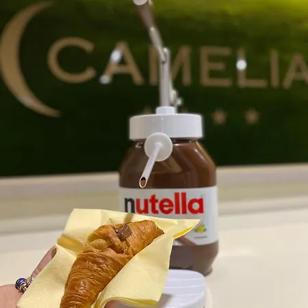 Hotel Camelia-2