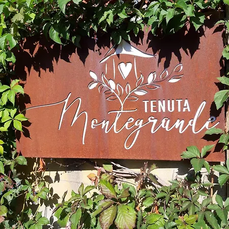 Tenuta Montegrande 1893-2