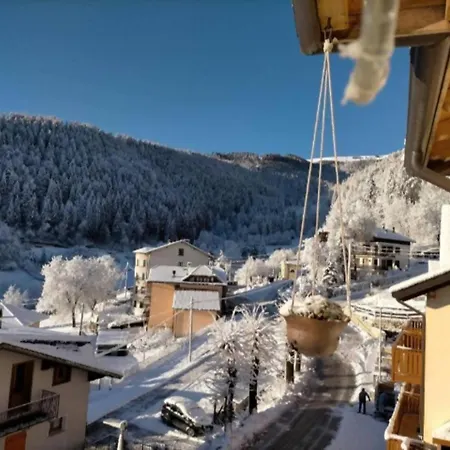 Il nido del pettirosso-3