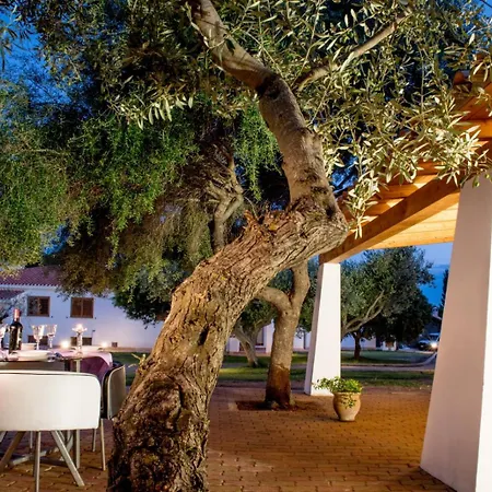 Orosei Summer Holidays - Cala Del Turco Green House-3