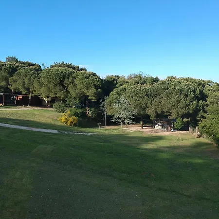 Camping Paradiso-2
