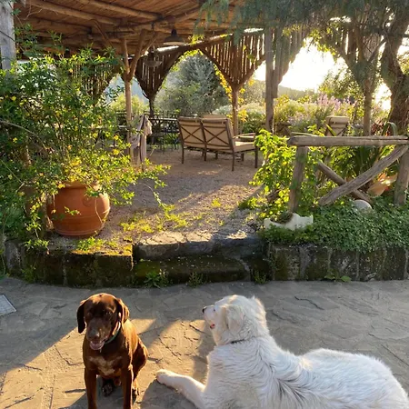 Agriturismo L'Olivara-2