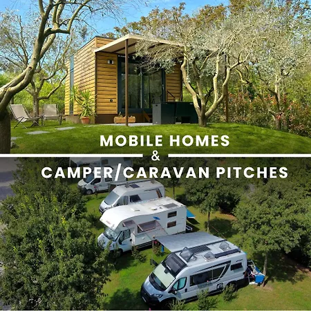 Seregner Agricamping & Homes - Adults Only 18-3