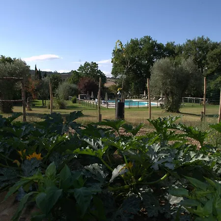 Hotel Giogliano-2