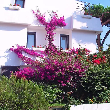 Hotel Della Baia-2