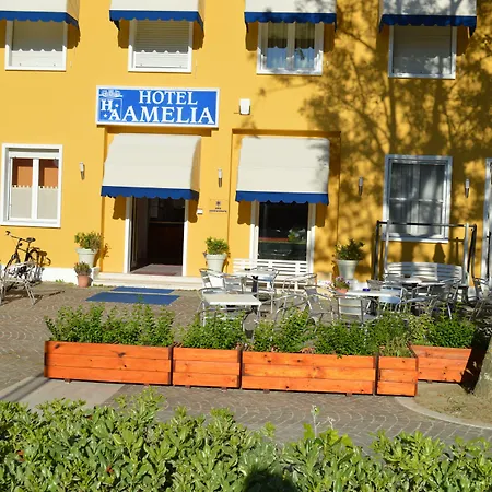 Hotel Amelia-3