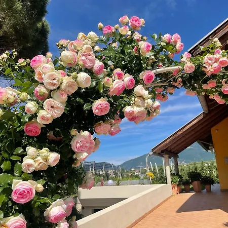 Villa Raifer-2
