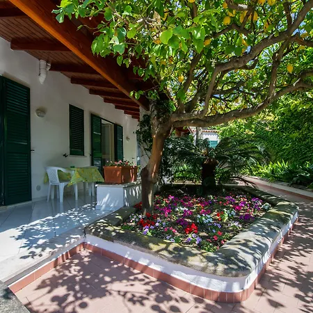 Residence San Domenico-2