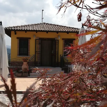 I Tre Ulivi-3