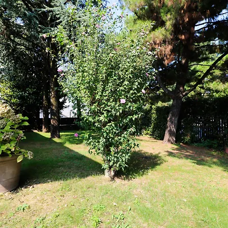 Vitti's Home Verona-3