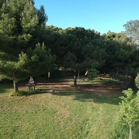 Camping Paradiso-2