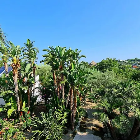 Cocos Park Ischia-2