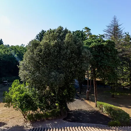 Palazzo Vittoria-3