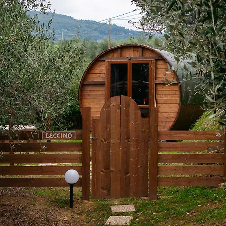 Le Botti Fiorentine-3
