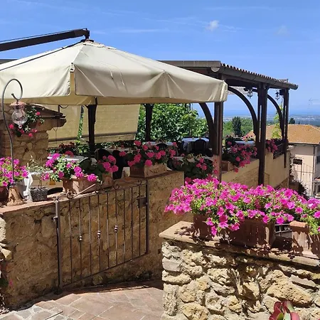 B&B Il Sogno del Pinzagrilli-3