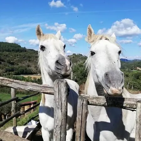 Agriturismo la Tana-2