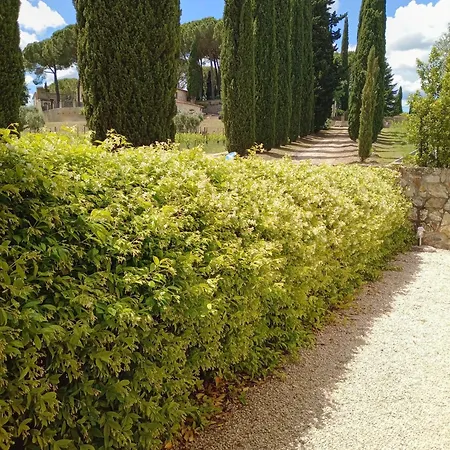 B&B 8380 Saturnia Terme-2