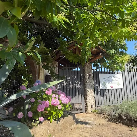 A Casa di nonna Emilia-2