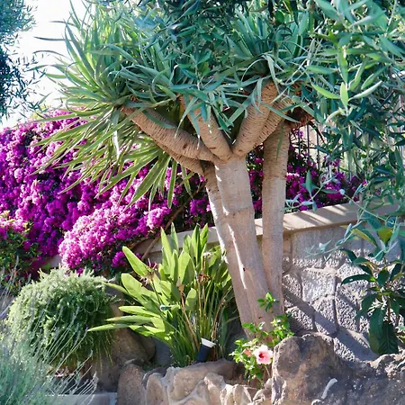 Sorgeto Garden-3