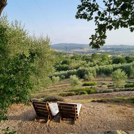Casale Terre Rosse Garden-2