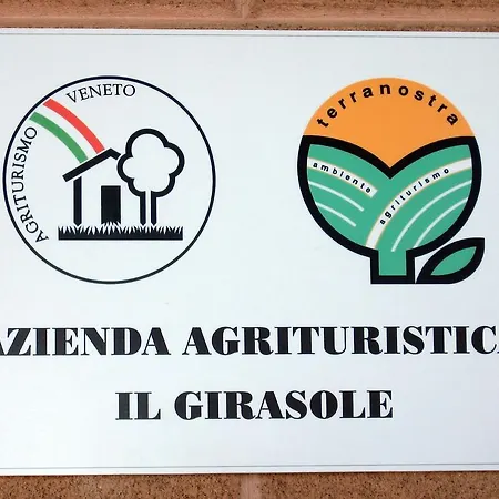 Agriturismo B&B Il Girasole-3