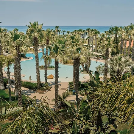 Acacia Resort-2