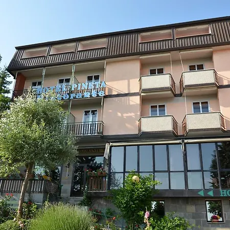 Hotel Pineta-3