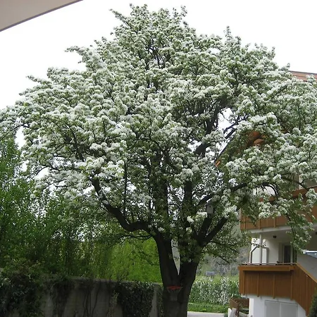 Garni Appartment Wagnerhof-2
