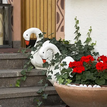 Residence Pichler-2